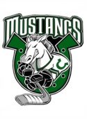 Mustang Hockey School